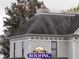 PABCO Roofing Products Featuring Algae Defender